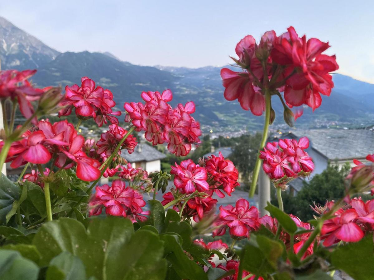 Grenier Du Coeur Appartement Aosta Buitenkant foto